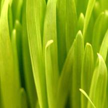 黑客靠什么攻击服务器